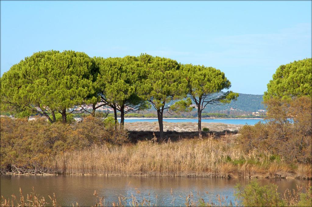 Appartamenti Le Magnolie Budoni Exteriör bild